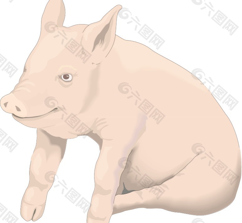 猪2