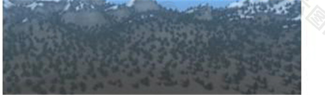 山脉森林游戏模型素材