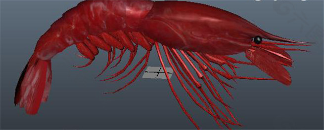 红色虾游戏模型素材