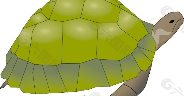 海龟的剪辑艺术