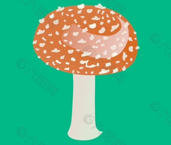 鹅膏毒蘑菇的剪辑艺术