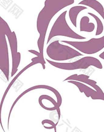 深紫色玫瑰花