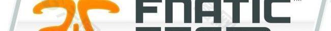 fnatic 战队logo图片