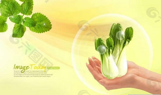 蔬菜青菜PSD素材 2
