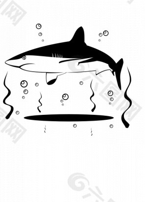鲨鱼的矢量绘图