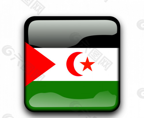 有光泽的按钮与西撒哈拉的旗帜