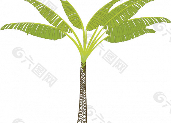 热带棕榈树矢量图像