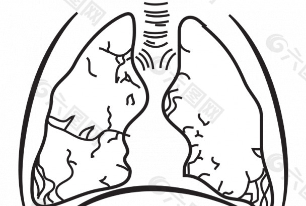 人的肺部图像矢量
