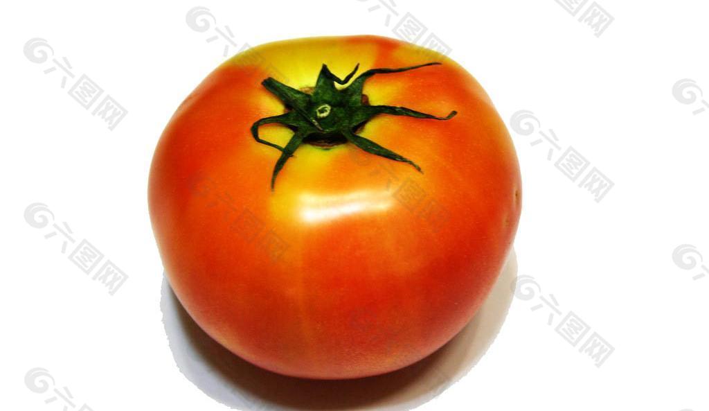 一颗番茄
