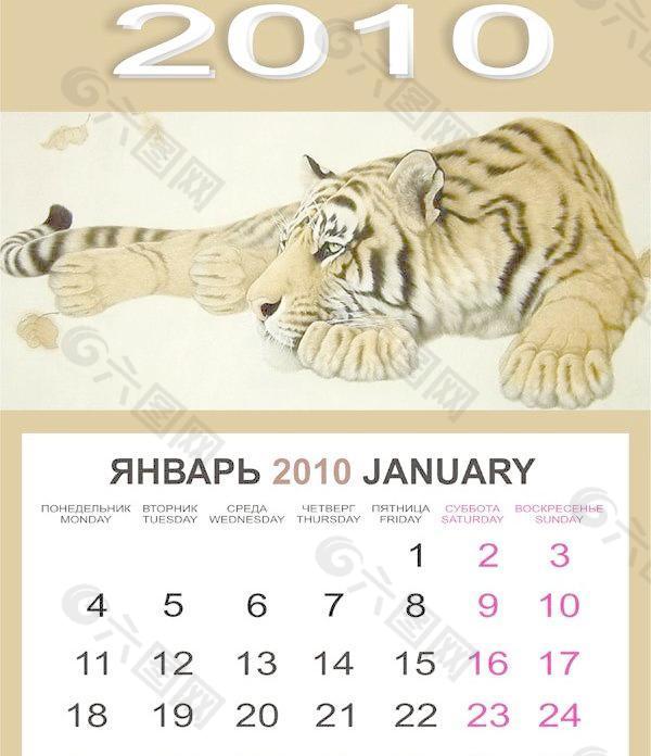 2010虎年日历矢量图