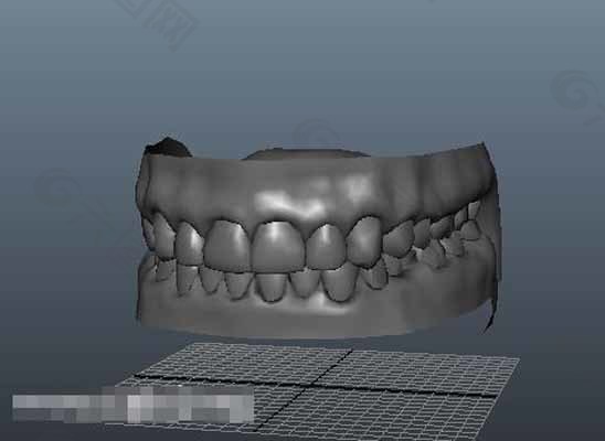 牙齿模型