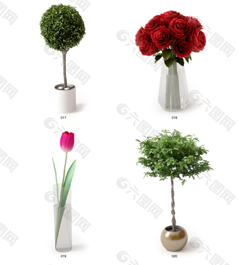植物和花瓶模型