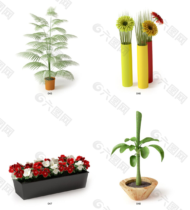 小植物模型