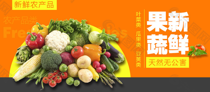 农业蔬菜banner