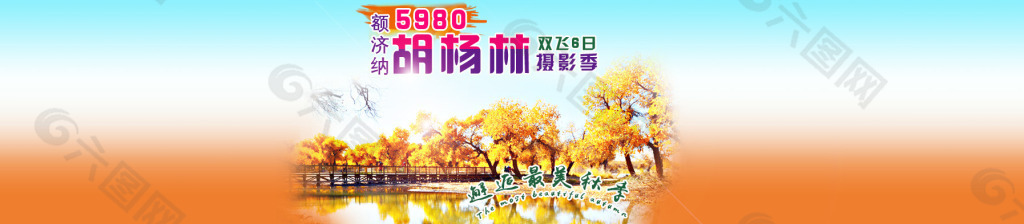 胡杨林时观客旅游网页设计