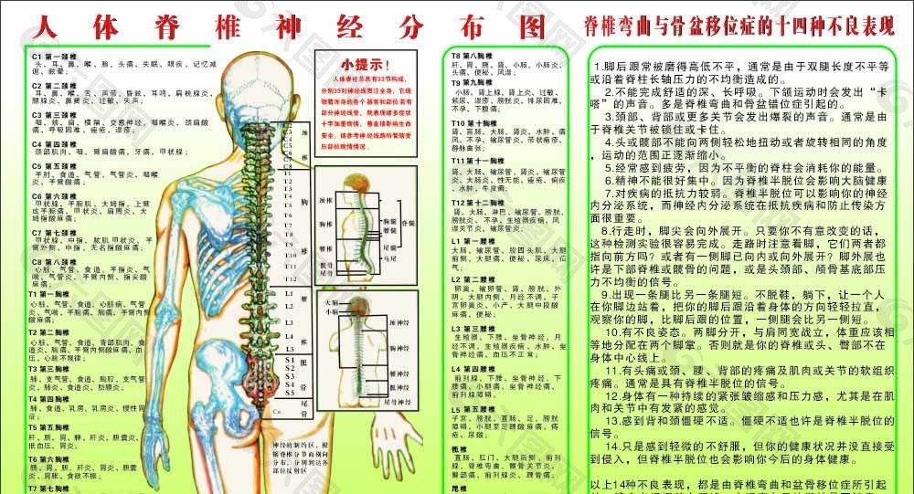 人体经络图图片