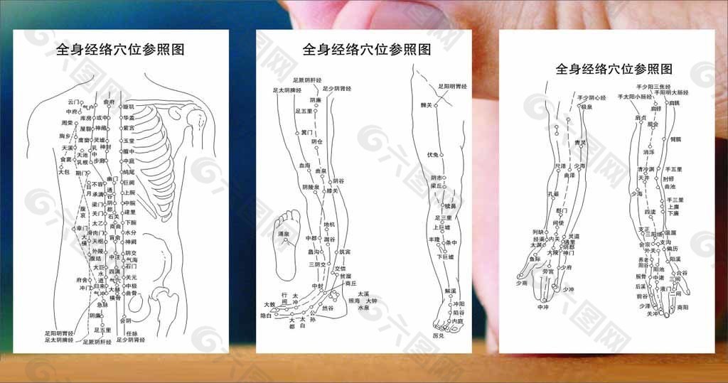 经络图图片