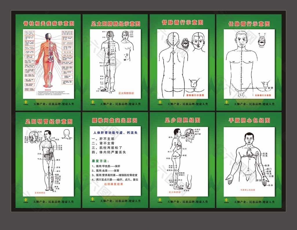 经络图疾病示意图图片