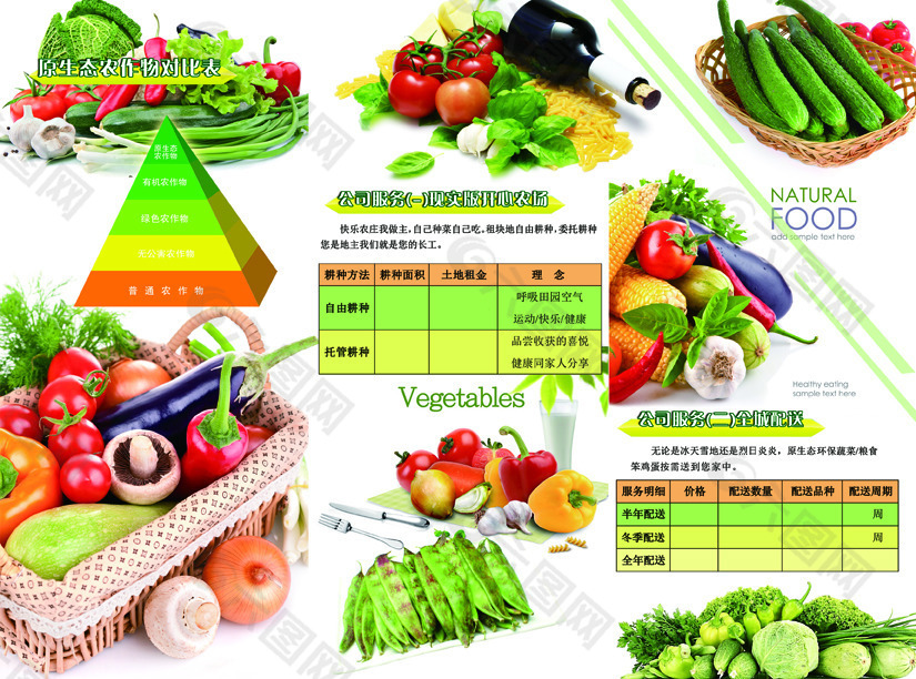 蔬菜开心农场原生态绿色宣传三折页