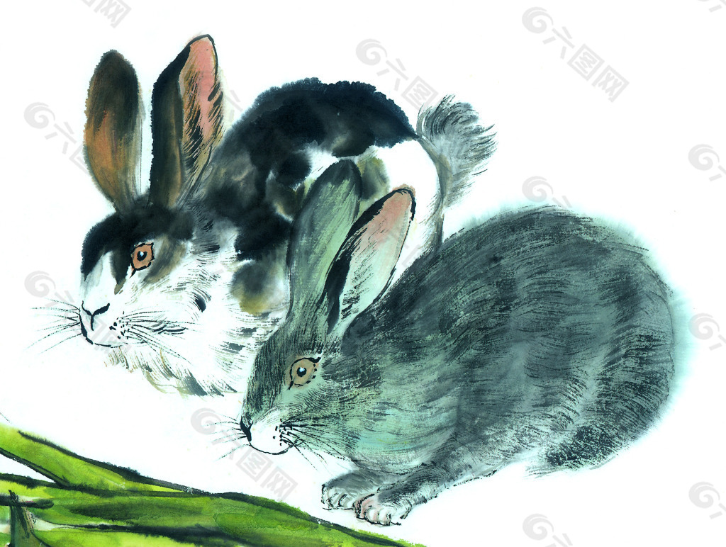 兔子绘画