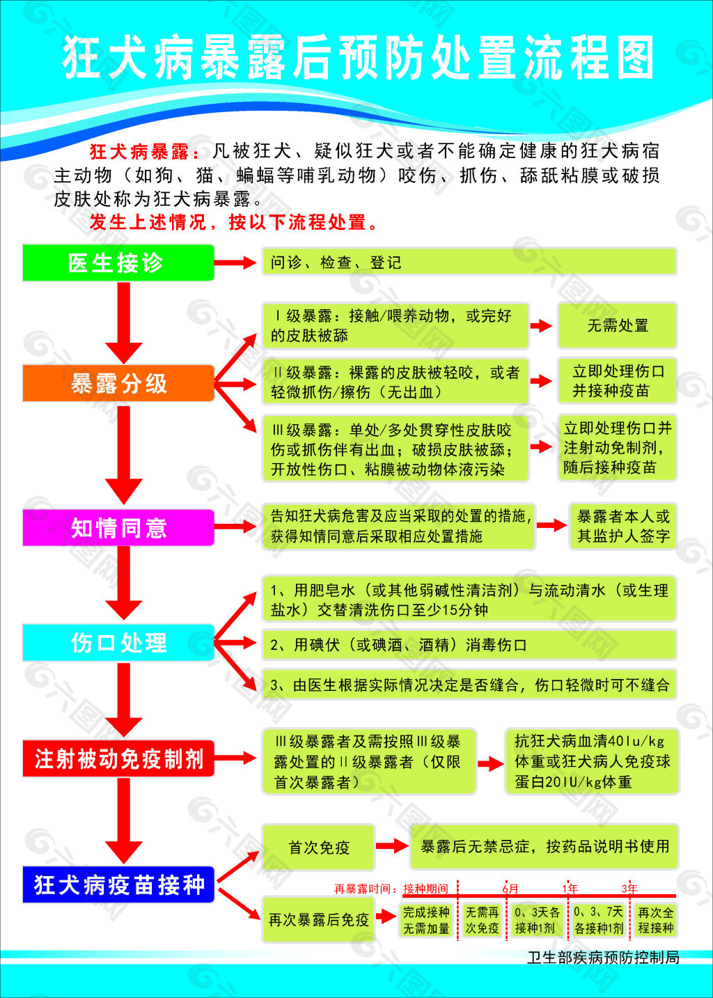 狂犬病流程图