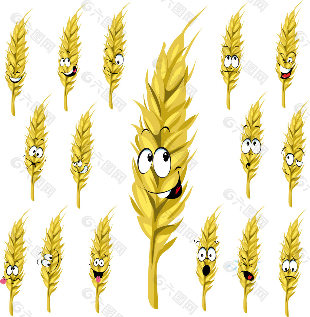 小麦创意矢量