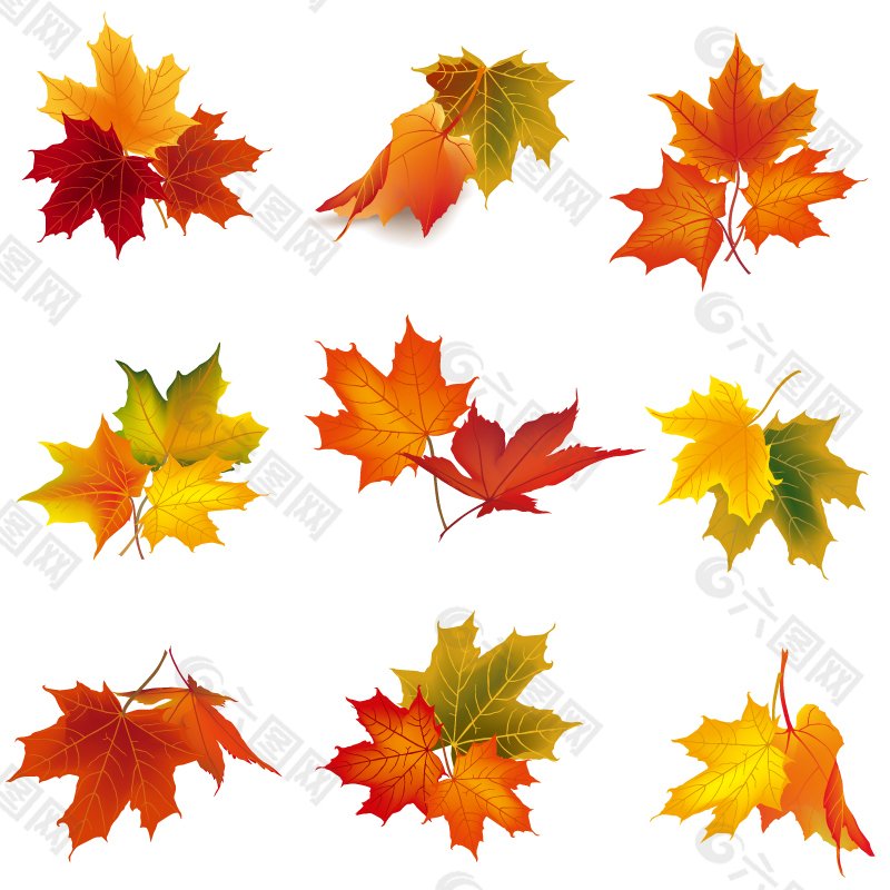 秋季树叶设计