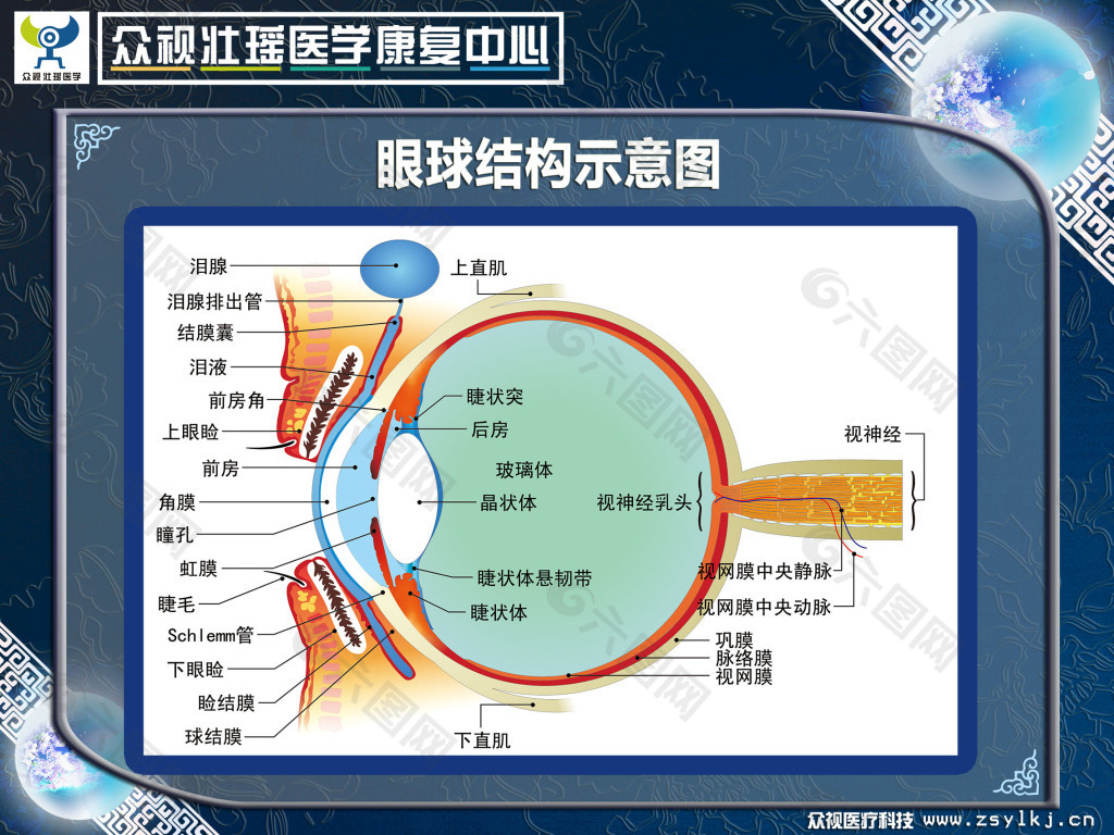 墙文化 眼球示意图