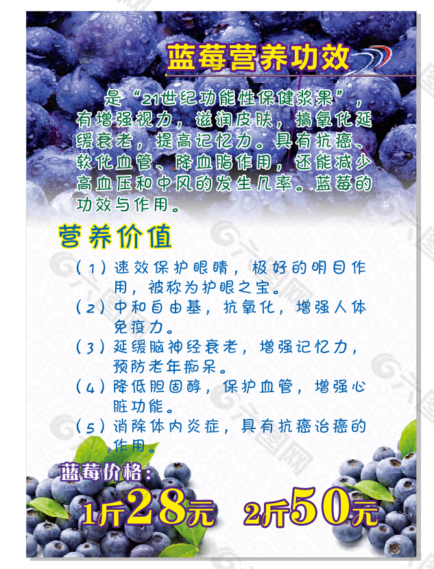蓝莓营养功效海报