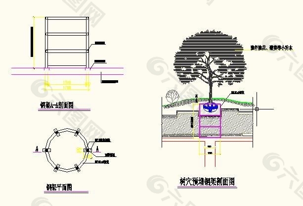 大乔木种植固定图纸