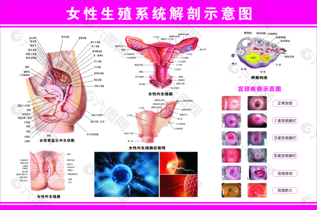 爱康