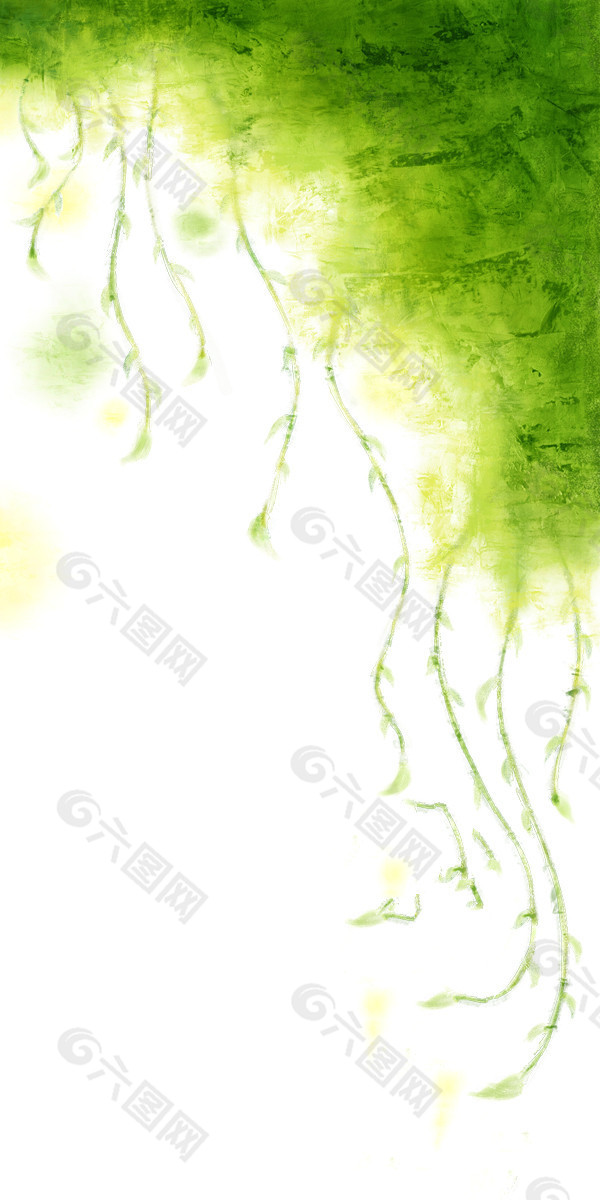 藤蔓植物背景图