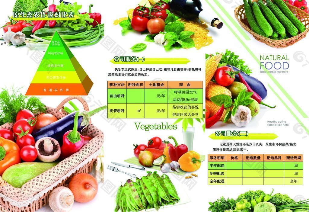 蔬菜种植绿色食品原生态