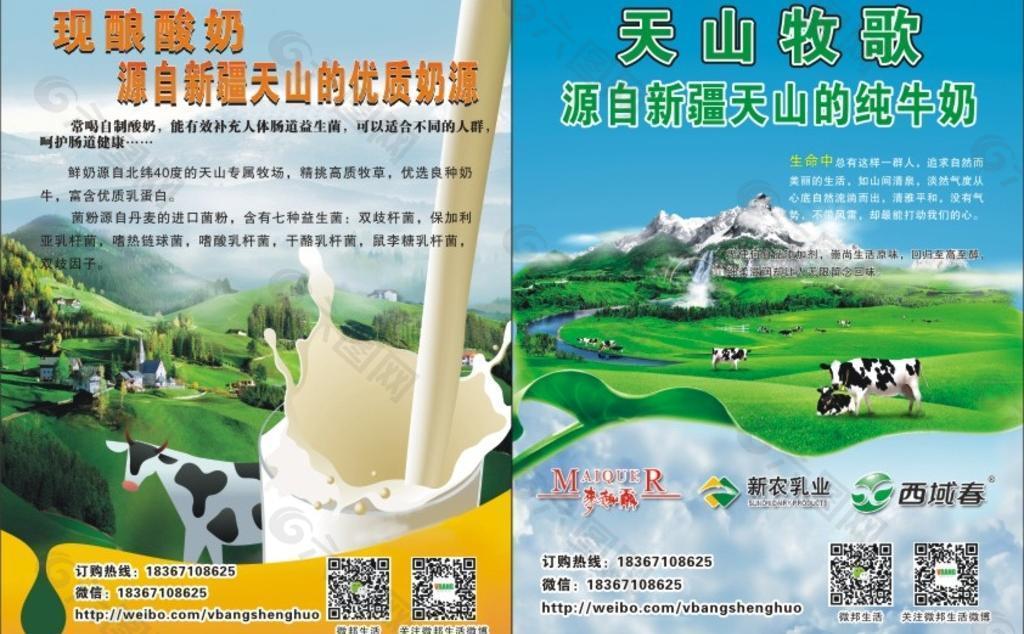 新疆牛奶宣传彩页