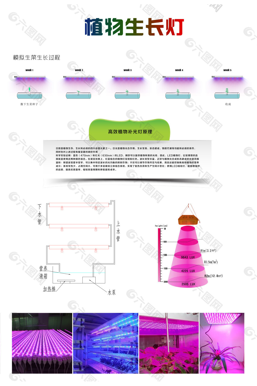 LED植物生长灯