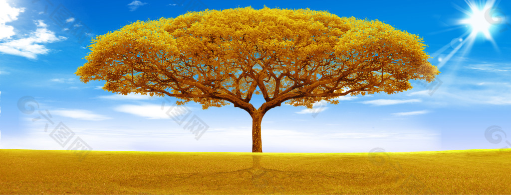 金色大树
