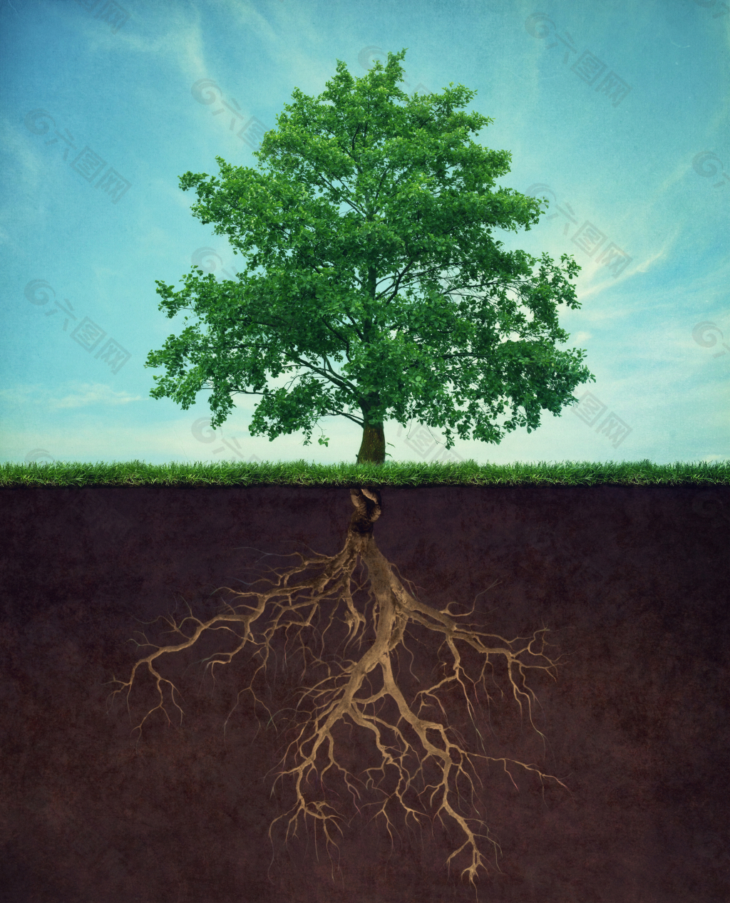 75,647 Tree growing image 图片、库存照片和矢量图 | Shutterstock