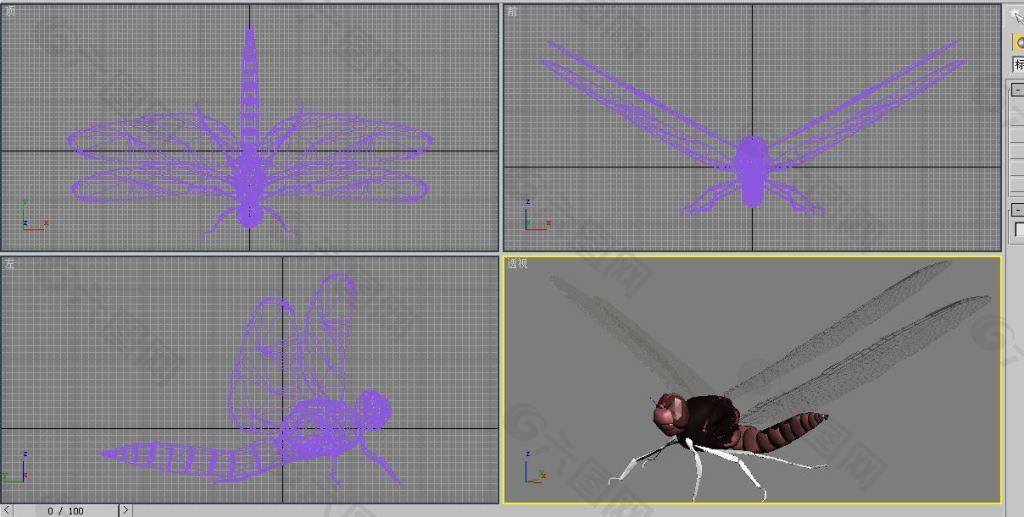 三维立体蜻蜓3D模型带贴图