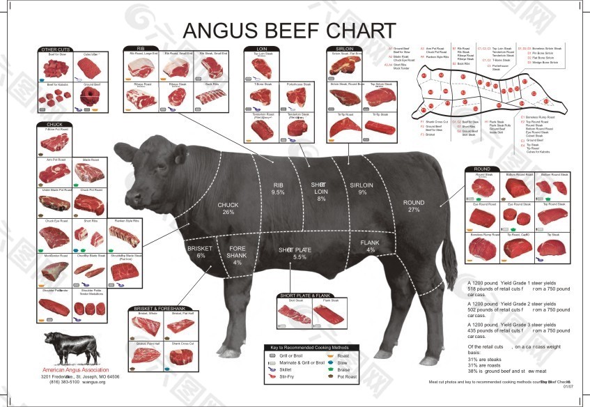 肉牛品种介绍图片大全图片