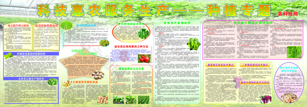 科技惠农宣传栏种植专题