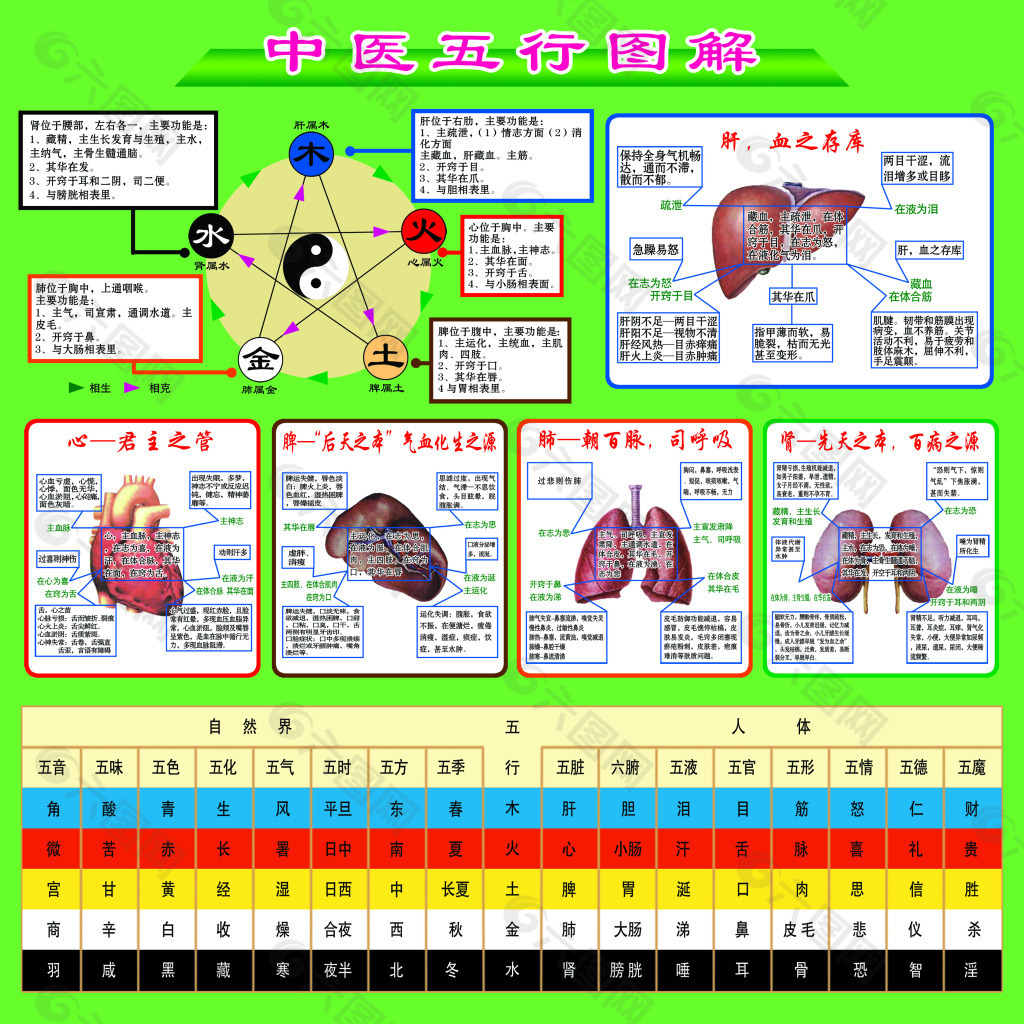 中医五行图