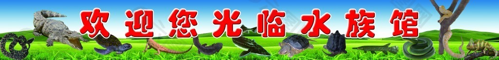 动物园水族馆招牌海报