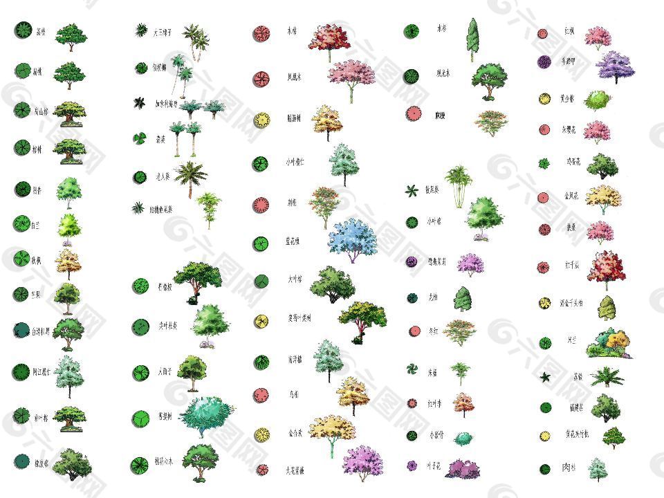 园林手绘植物psd