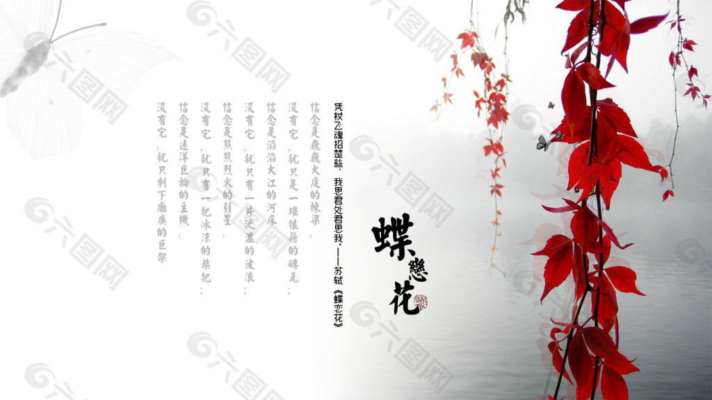 蝶恋花封面设计图片