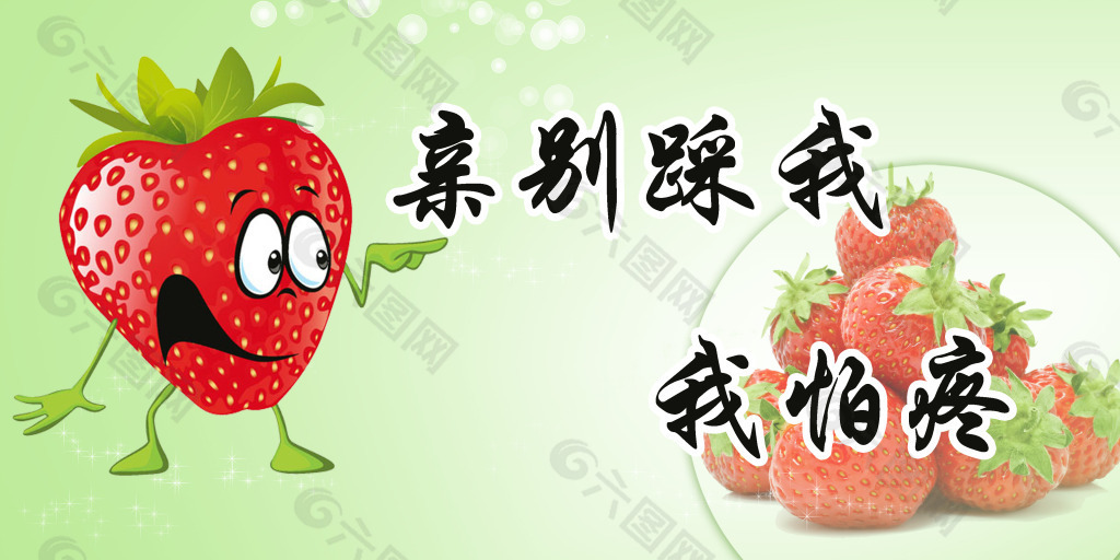 草莓展板