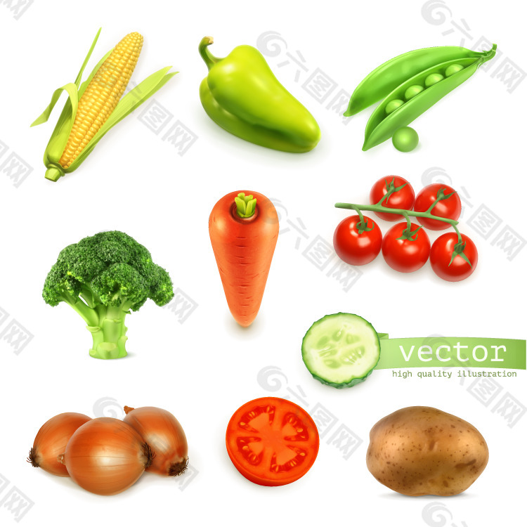 蔬菜背景矢量素材