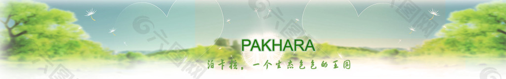 品牌介绍banner