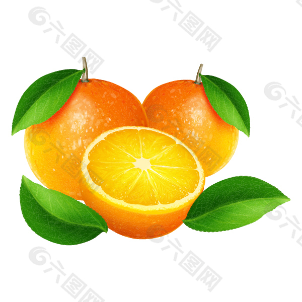 矢量香橙