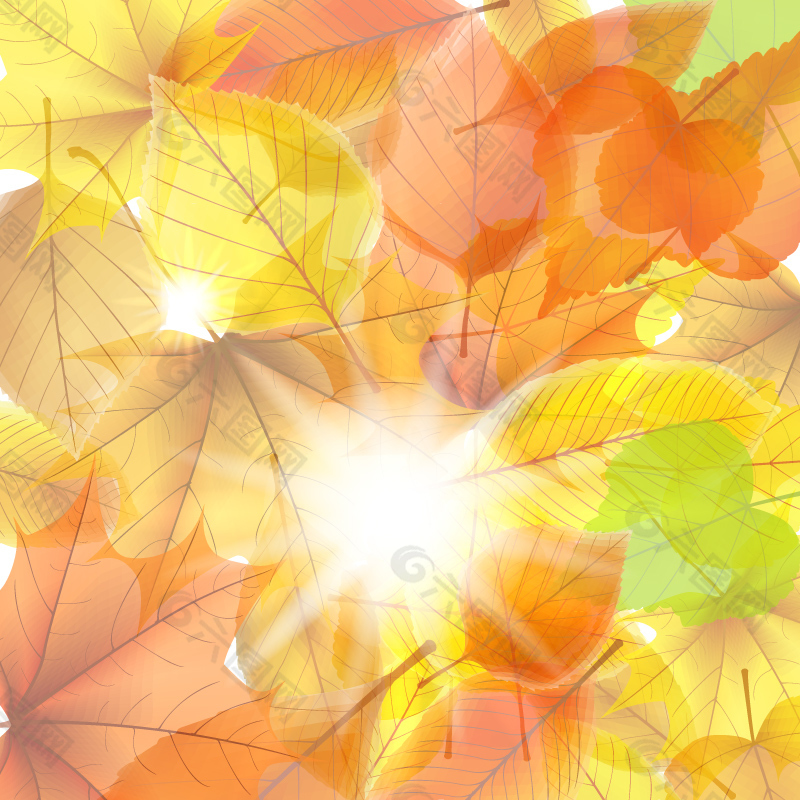 明媚阳光与秋叶背景矢量素材背景素材免费下载 图片编号 六图网