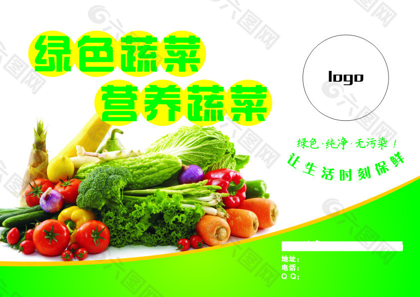 绿色蔬菜 营养蔬菜